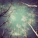 Cathleen Green Photo 18