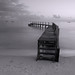 Shelly Bush Photo 41