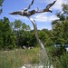 Michael Wind Photo 32