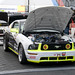 Joe Paddock Photo 27