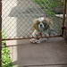 Molly Gates Photo 27