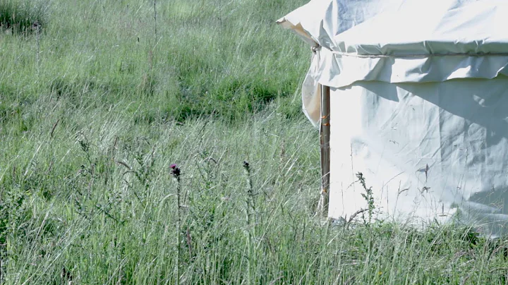 Paul Yurt Photo 8