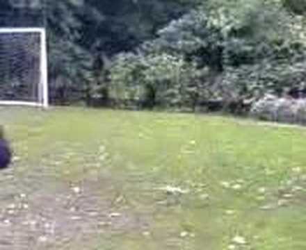 Tom Neuman Photo 32