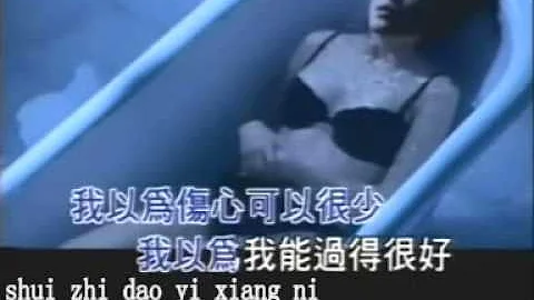 Wei Tao Photo 22