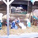 Kevin Towle Photo 24