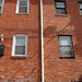 Billie Lane Photo 22