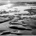 Dennis Riddle Photo 26