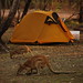 Katherine Camp Photo 31