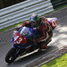 Stephen Suzuki Photo 21