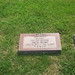 Harvey Rubenstein Photo 13