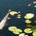 Joey Longo Photo 34
