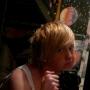 Bradley Fox Photo 33