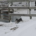 Fred Cutter Photo 24