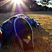 Brandon Becker Photo 30
