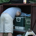 Jim Heck Photo 37