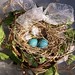 Jean Nest Photo 14