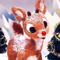 Rudolph Parker Photo 8