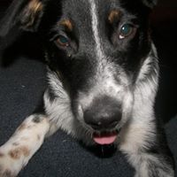 Erika Wells Photo 8