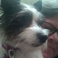 Sherri Cornelius Photo 2