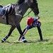 Beau Montgomery Photo 27