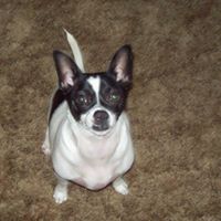Susan Stivers Photo 3