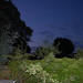 Robin Standish Photo 18