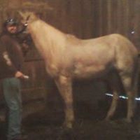 Michael Culp Photo 6