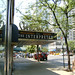 Diane Beekman Photo 20