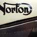 Molly Norton Photo 25
