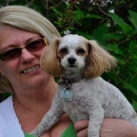 Debbie Mcdougall Photo 7