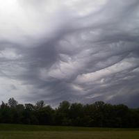 Glenda Smith Photo 4