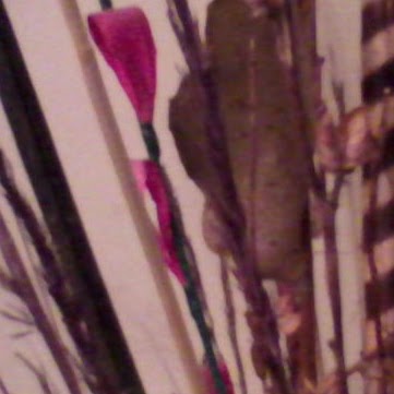 Laura Cazares Photo 15