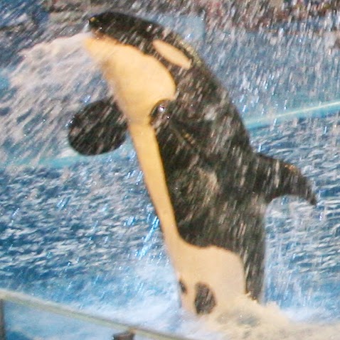 Tracy Fanning Photo 10
