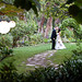 Justin Peek Photo 37