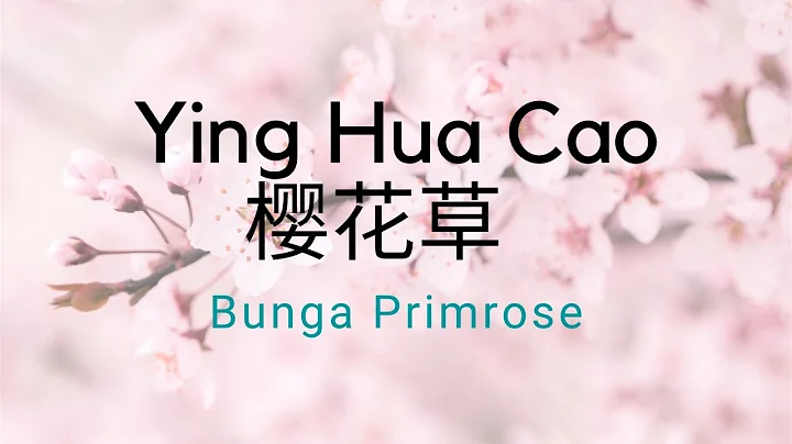 Ying Cao Photo 24