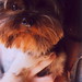 Valencia Tyler Photo 14
