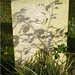Robert Druce Photo 17