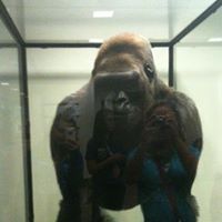 Steve Stover Photo 3