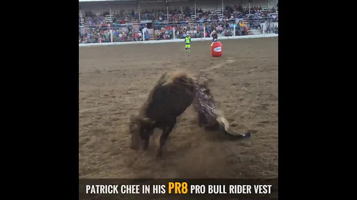 Patrick Chee Photo 16