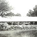 Seward Smith Photo 16