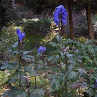 Robert Cover Photo 5