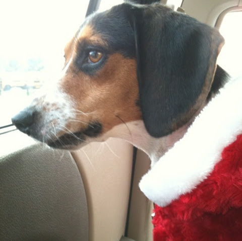 Melissa Elkins Photo 9