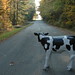 Tom Kain Photo 25