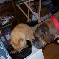 Kathy Gouge Photo 1