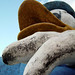 Donald Luna Photo 16