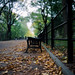 Carl Evers Photo 21