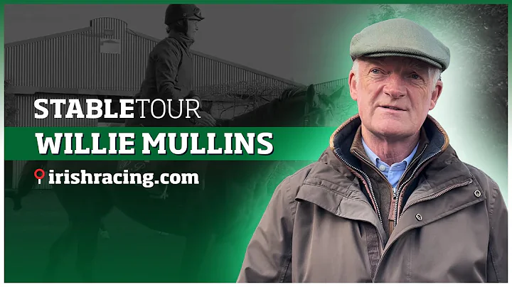 Willie Mullins Photo 28