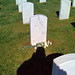 Mark Mcfadden Photo 41