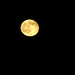 Adam Moon Photo 35