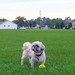 Fred Gettys Photo 14